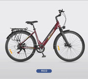 Women's swan frame bicycle commuter travel electric bicycle-Pro eRiders