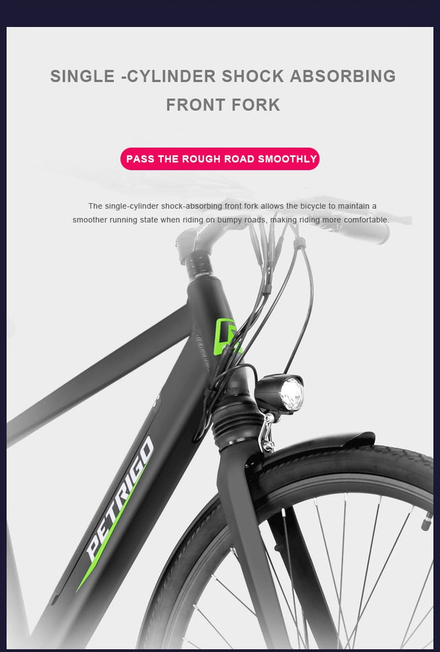 Women's swan frame bicycle commuter travel electric bicycle-Pro eRiders